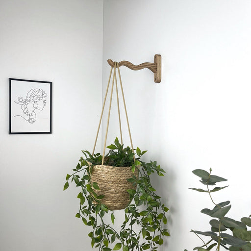 pot plant hanging hooks Wavy Plant Hanger Hook for Houseplants