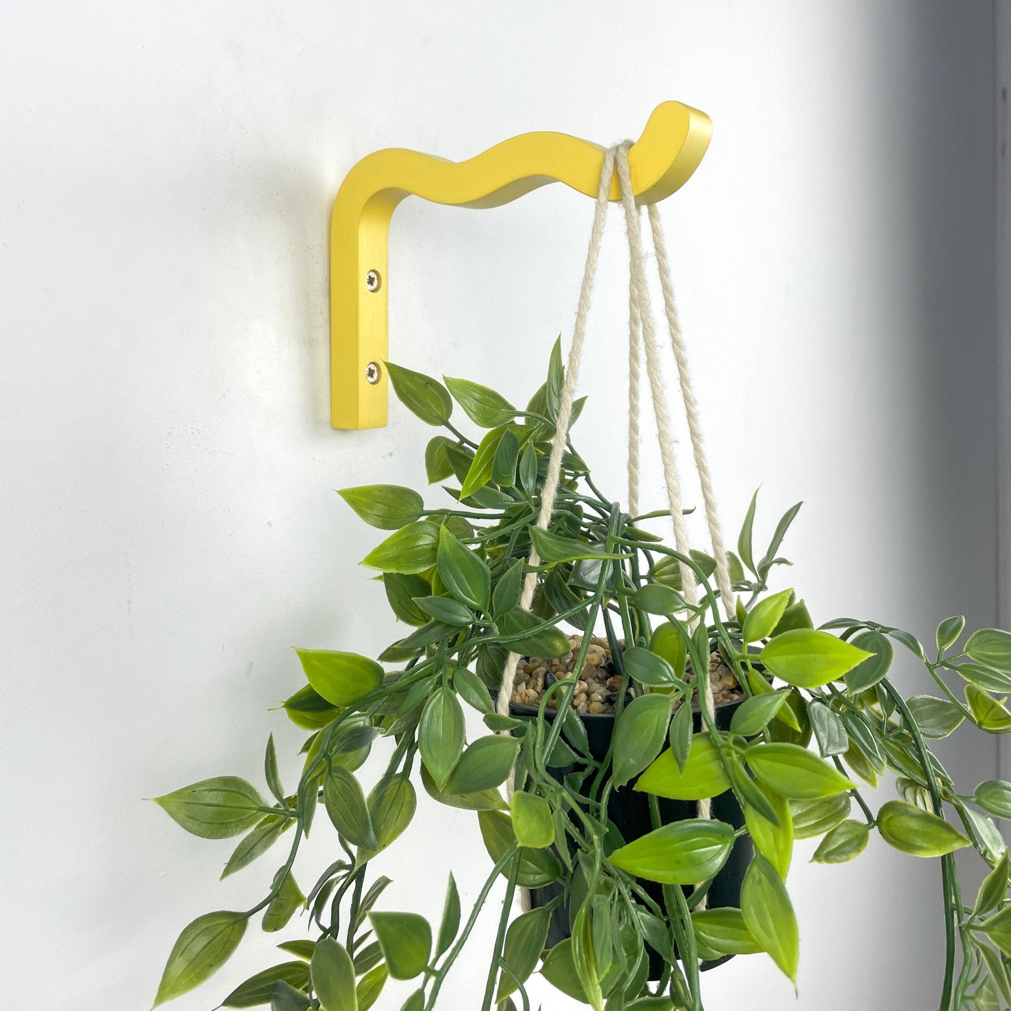 Colorful Wooden Wall Hooks Wavy Plant Hanger Wall Mount 6x4