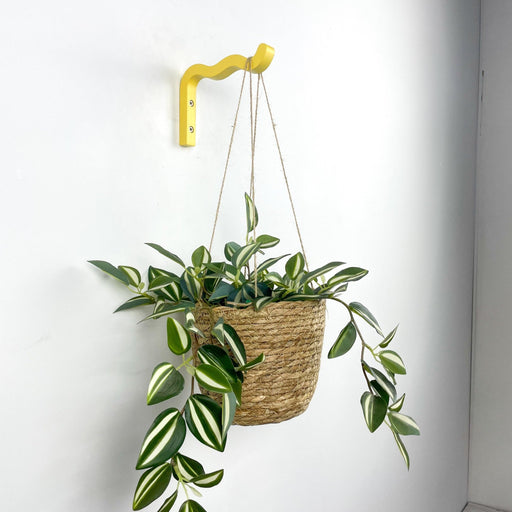 Wavy Plant Hook for Indoor | Yellow - Image 2