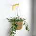 Wavy Plant Hook for Indoor | Yellow - Image 2