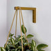 Wooden Indoor Plant Bracket | Bronze 6"x4" - Image 1