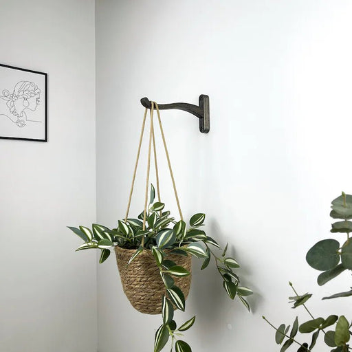 Wooden Wall Hook for Hanging Plants | Bog Oak Color - EvenWood