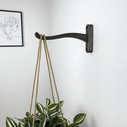 Wooden Wall Hook for Hanging Plants | Bog Oak Color - EvenWood