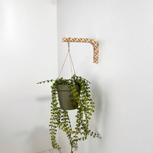 Engraved Plant Hanger Hook | Natural 6"x4" - Even Wood