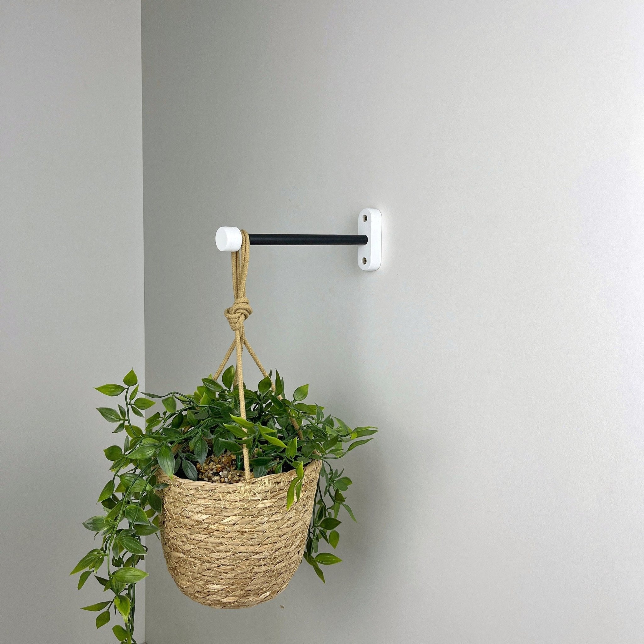 indoor plant hanger hooks Indoor Hanging Plant Hook