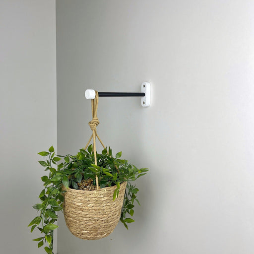 Indoor Hanging Plant Hook | Black & White 6" 8" 10" - Even Wood
