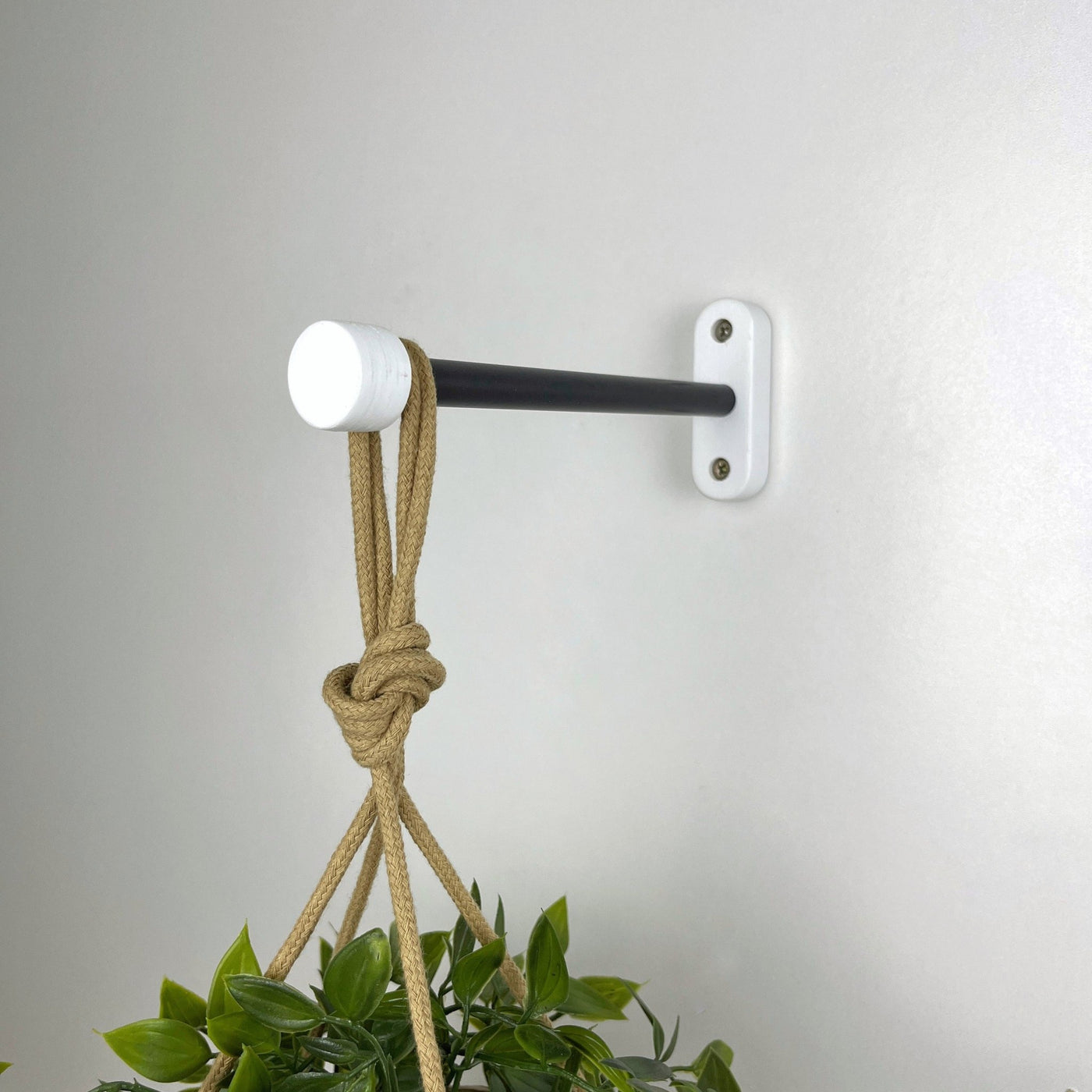 Indoor Hanging Plant Hook Black & White 6 8 10