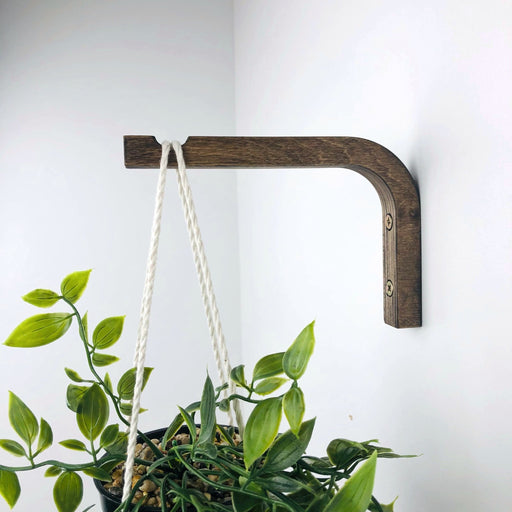 Indoor Plant Wall Bracket | Walnut 6"x4" - Even Wood