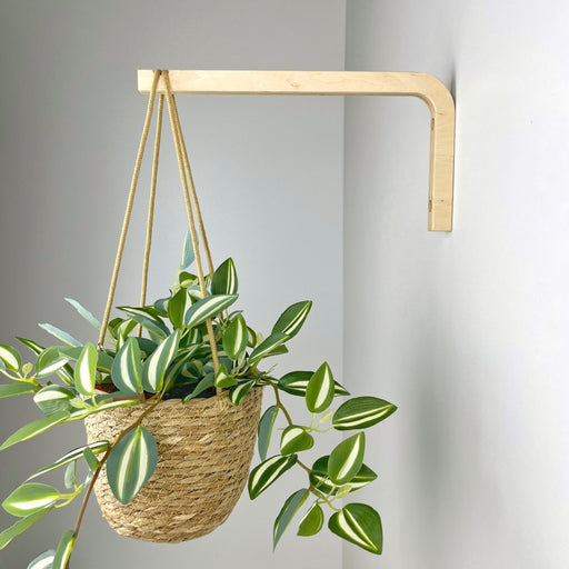 Long Wall Hanging Plant Hook | Natural 10" 12" - Even Wood