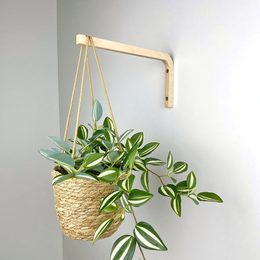 Long Wall Hanging Plant Hook | Natural 10" 12" - Even Wood