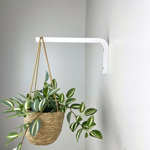 Long Wall Hanging Plant Hook | White 10" 12" - Even Wood