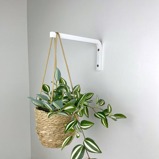 Long Wall Hanging Plant Hook | White 10" 12" - Even Wood