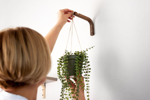 Modern Macrame Plant Hook | Walnut 6"x4" - Even Wood