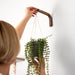 Modern Macrame Plant Hook | Walnut 6"x4" - Even Wood