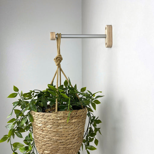 planting wave petunias in hanging baskets Modern Plant Hanger Bracket