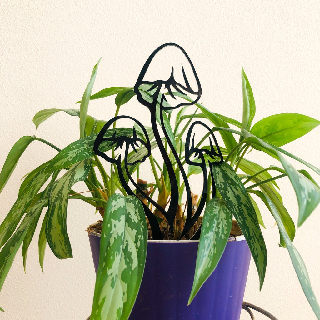 plant trellis for indoor plants Mushroom Plant Trellis for Indoor Plants