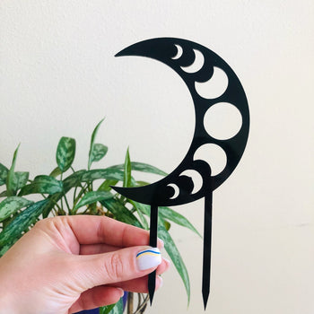 Mystical Moon Phase Plant Trellis | Black