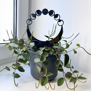 Round Moon Phase Plant Trellis | Black