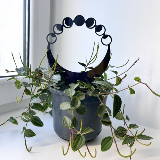 circular plant trellis Round Moon Phase Plant Trellis