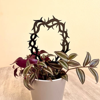 Thorns Crown Trellis for Potted Plants | Black