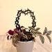 Thorns Crown Trellis for Potted Plants | Black - Even Wood