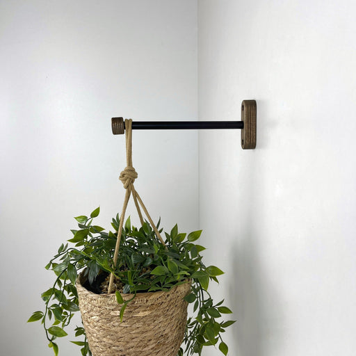 Wall Hanging Plant Bracket | Black & Walnut 6" 8" 10" - Even Wood