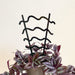 Wavy Houseplant Stake Trellis | Black - Even Wood