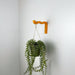 Wavy Plant Hanger Hook for Wall | Colorful 6"x4" - Image 2