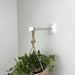 White Wall Plant Hanger Hook for Indoor| 6" 8" 10" - Even Wood