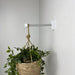 White Wall Plant Hanger Hook for Indoor| 6" 8" 10" - Even Wood