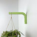 Wooden Hanging Plant Hook | Green 6"x4" - Even Wood