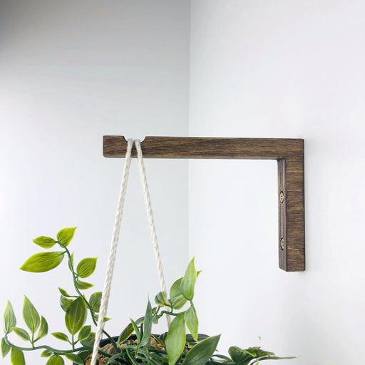 Wooden Wall Hook for Hanging Plants | Walnut 6"x4" - Even Wood