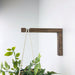 Wooden Wall Hook for Hanging Plants | Walnut 6"x4" - Even Wood