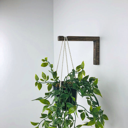 Wooden Wall Hook for Hanging Plants | Walnut 6"x4" - Even Wood